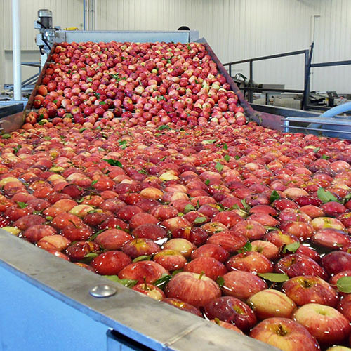 臭氧在蘋果加工（gōng）中的應用（yòng）