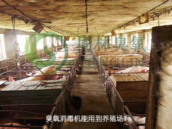 臭氧消毒機能用到養殖場嗎