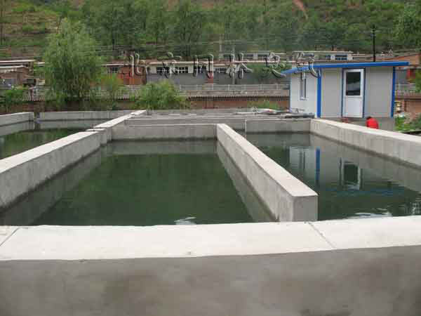 臭氧發生器消毒（dú）