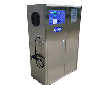 分體式（shì）中型臭氧發生（shēng）器