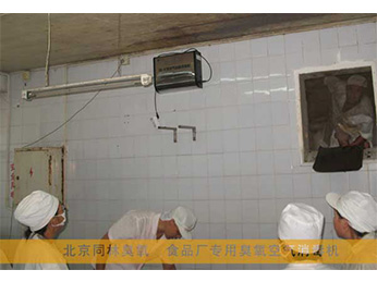 食品廠（chǎng）空氣消毒機使用現場（chǎng）